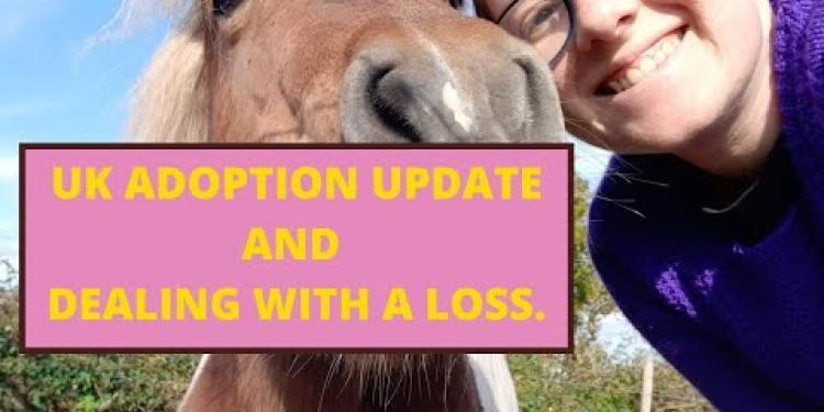 Adoption and dealing with  a Loss