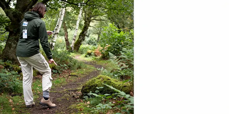 How do you prevent Lyme disease?